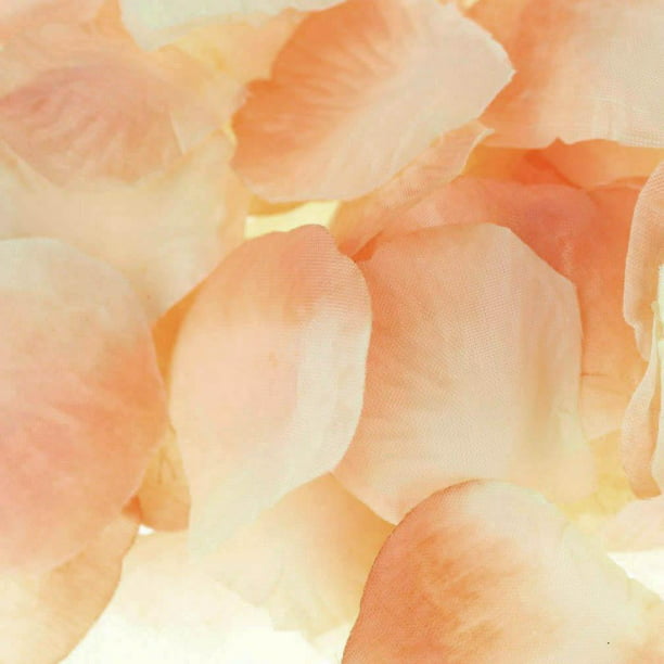 Rose Petals silk wedding table confetti Peach 